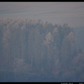 IMGP1669.JPG