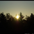 IMGP1673.JPG