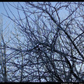 IMGP1715.JPG