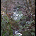 IMGP1747.JPG