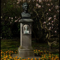 IMGP3336.JPG