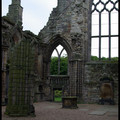 IMGP4654.jpg