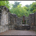 IMGP4905.jpg